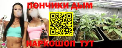 ГАЛЛЮЦИНОГЕННЫЕ ГРИБЫ Камышлов