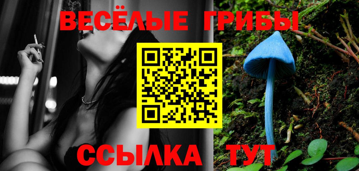 Галлюциногенные грибы Magic Shrooms Дальнегорск