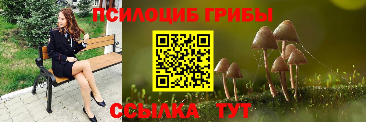 Псилоцибиновые грибы Cubensis  Вход с VPN  Дальнегорск 